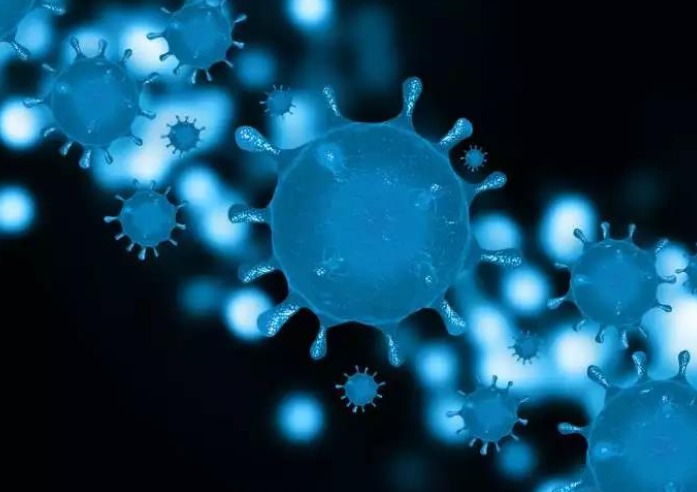 新冠病毒更喜歡脂肪嗎？肥胖人群是不是更容易感染新冠？