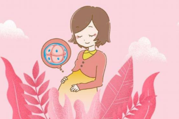 泰國試管嬰兒費(fèi)用是多少？泰國試管嬰兒成功率高嗎？