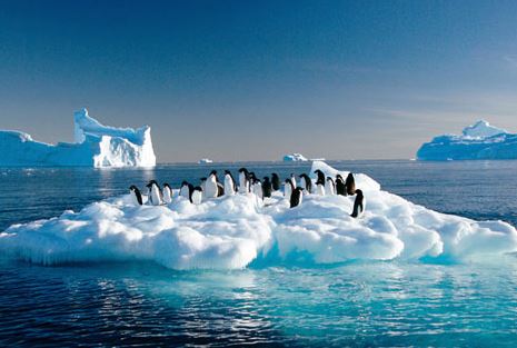 強(qiáng)寒潮是在打臉全球變暖嗎？